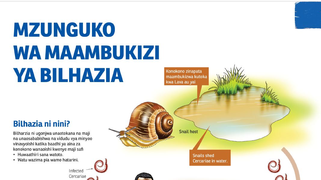 Bilharzia Compassion Swahili Poster